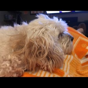 Meet your Posher, Stacey